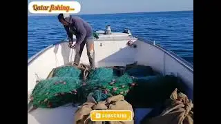 Qatar boat 🛥️ fishing 🎣