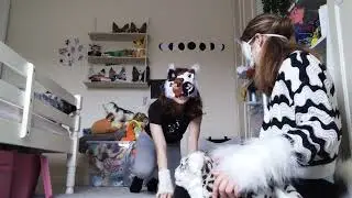 shit w @malgosianapieracz4254 tags: #therian #quadrobics #shitpost #cats #flyingcharizard