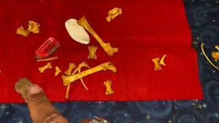 Bone Reading ForJanuary 2022