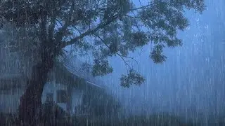 Sonido de Lluvia Fuerte y Perfecto para Dormir Profundamente - Lluvia Relajante para Dormir #54