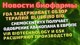 Главные события рынка биотехов минувшей недели. Vir. ChemoCentryx. Bluebird. Biogen. Gilead. AbbVie.