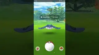 MANTINE SPOTLIGHT HOUR! | Pokemon Go