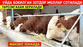 УЙДА БОКИЛГАН ЗОТДОР МОЛЛАР СОТИЛАДИ ТАРОЗИГАХАМ БЕРИЛАДИ МАНЗИЛ ХОНКАДА !!! ХОРАЗМ БОЗОР 