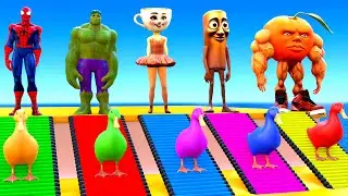 Playing as Spiderman in Long Slide Game with Cow Elephant Gorilla Hippo Tiger Funny 3d Animal Game
