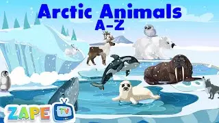 A to Z Arctic Animals | Learn Alphabet with Snowy Friends! | ZApe TV