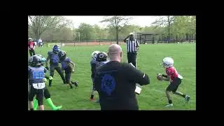 Lions vs Seminals 9U spring tounament DEFENSE