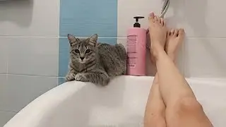 When You Have a Cat, Privacy Becomes Optional 😹