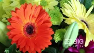 Flowers Everywhere a Flower Shop in Adelaide offering fresh Bouquet of Flowers
