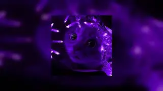 AkaSSSuna - SAVAGE
