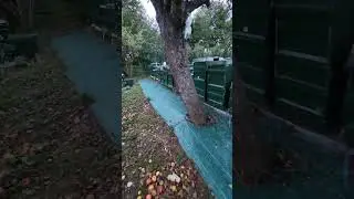 Šta je F0 Matica?  Prvi dio