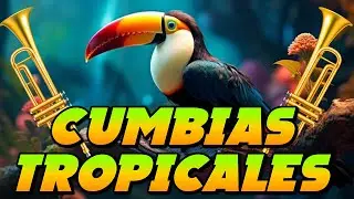 CUMBIAS VIEJITAS TROPICALES💃LAS MEJORES CUMBIAS TROPICALES 2026💖TROPICAL DEL BRAVO,ACAPULCO TROPICAL