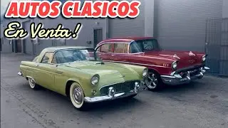 Classic Car Collector Selling His Entire Collection! 😱 Cars for Sale