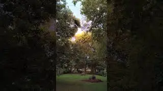 Learning peace with nature #rain #weather #subscribe @FrogzLillipad @lemuwah
