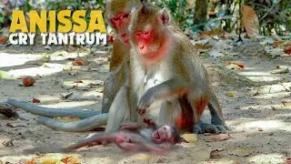 OMG! Poor Baby Monkey Anissa Crying Tantrum Angry Mum Not Nursing Milk