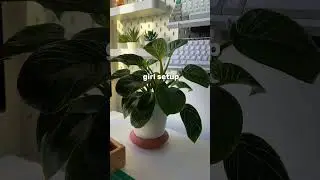 My desk setup as a computer science student #desksetup #software #minimaldesksetup