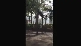 Calisthenics by Trainerkenneth