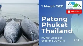 Patong Beach, Fresh fish from Andaman sea this morning Phuket Thailand March 1, 2021 | EP.2