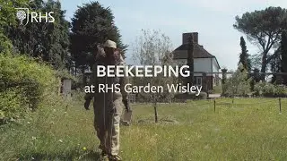 Beekeeping at RHS Garden Wisley | The RHS