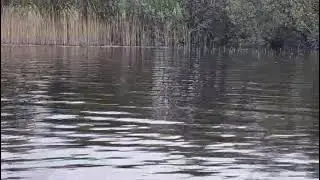 Annagh Lake 2025