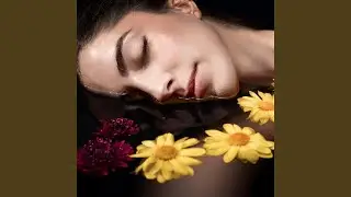 Petals of Quiet Time