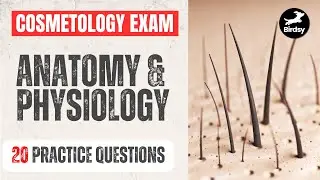 🔑 Anatomy & Physiology Essentials for the Cosmetology Exam
