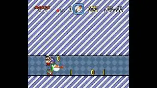 Getting hurt by the switch palace corner and then killing it