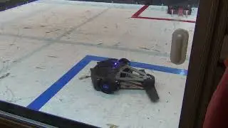 3lb 06 Misdirected Aggression Vs Killer Goose
