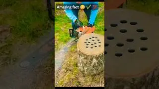 🚿 ⛲How to make wooden sink using tree dab. #shorts
