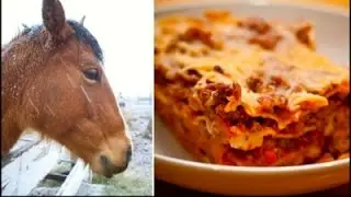 Horse Meat or Beef