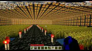 Minecraft Alpha underground lava garden