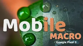 MACRO PHOTOGRAPHY WITH GOOGLE PIXEL 3 PHONE IN 2023