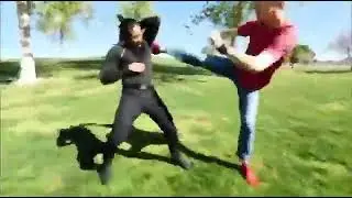 pz9 song