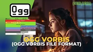 Ogg Vorbis Audio Codec|What is Ogg Vorbis Audio Codec in HINDI