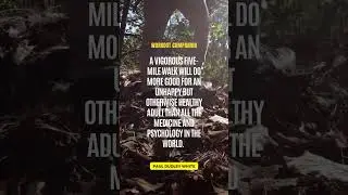 Workout Companion Motivational Speech 008