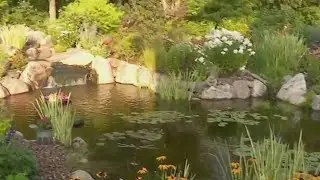 Tour Twin Cities most spectacular water gardens