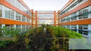 Centre for Interactive Research on Sustainability