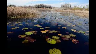 Okefenokee Named One of America's Most Endangered Rivers