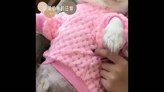 Winter Warm Pet Clothes for Small Dogs Puppy Cat Pullover Soft Fleece Chihuahua