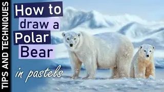 Drawing a Polar Bear & cub in pastels | Tips for drawing photo realism on a smaller scale