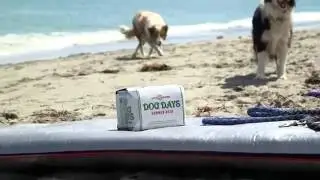 Introducing Dog Days Cans