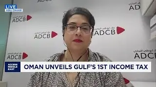 Oman introduces the Gulf's first income tax &ndash; will other states follow?
