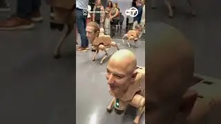 Bizarre art installation depicting Musk, Zuckerberg and Bezos as robot dogs goes viral
