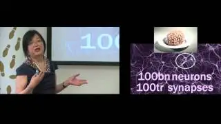 Non-Linear Analysis of Signal Complexity in Epileptic Neurones and Neuronal Networks