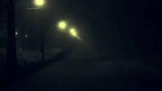 Heavy Rainstorm, Fog & Thunder over Dark Misty Forest Park - Rain Sounds for Deep Sleep & Relaxation