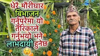 धेरै मौरीघार बिभाजन गर्नुपरेमा यो तरिकाले गर्नुभयो भने लाभदायी हुनेछ 😲 | Nepal Bee Keeping