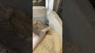 &ldquo;Rice Mill Working Process | Chawal Banane Ka Factory System 🌾&rdquo;