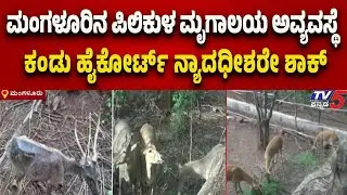 ಮಂಗಳೂರಿನ ಪಿಲಿಕುಳ ಮೃಗಾಲಯ ಅವ್ಯವಸ್ಥೆ ಕಂಡು ಹೈಕೋರ್ಟ್ ನ್ಯಾದಧೀಶರೇ ಶಾಕ್..! | Tv5 Kannada