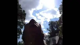 It's watermalone inside of watermalone Vine