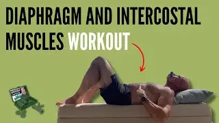 Workout for your diaphragm and intercostal muscles with the O2Trainer