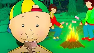 Caillou au Feu de Camp | Caillou en Français